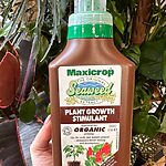 Organic Seaweed Plant Food Growth Stimulator Maxicrop 500ml