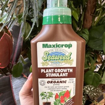 Organic Seaweed Plant Food Growth Stimulator Maxicrop 500ml Plant Care