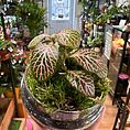 img_3998