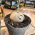 img_4113