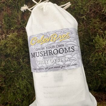 Grow Your Mushrooms – Indoor Growing Kits Gift Ideas