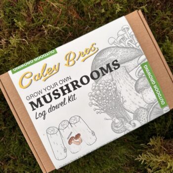 Grow Your Mushrooms – Outdoor Log Growing Kits Gift Ideas