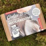 Grow Your Mushrooms - Indoor Growing Kits GIFT