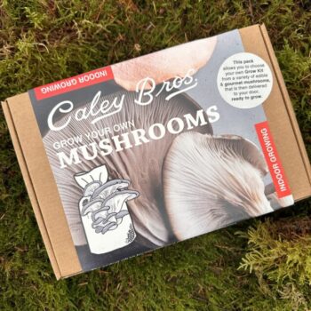 Grow Your Mushrooms – Indoor Growing Kits GIFT Gift Ideas