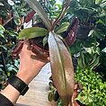 img_4570