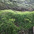 PXL_20230124_124658220