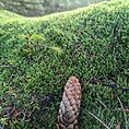 PXL_20230124_124702616