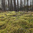 PXL_20240411_122609065