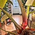 img_5347