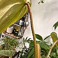 img_5348