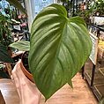 img_5350