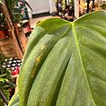 img_5351