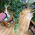 img_5477