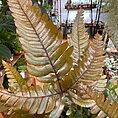 img_5571