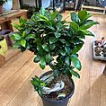 img_5587