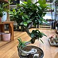 img_5588