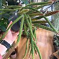 img_5808