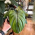img_5811