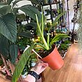 img_5820