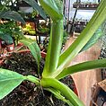 img_5821