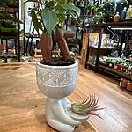 Meditation Grey Concrete Planter 6cm