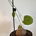 img_6895