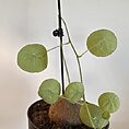 img_6897