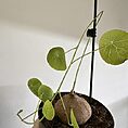img_6898
