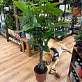 img_7454
