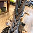 img_7455