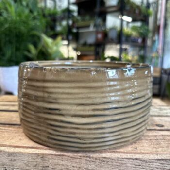 Glazed Rustic Bowl Planter Hera 18cm Bowls 2