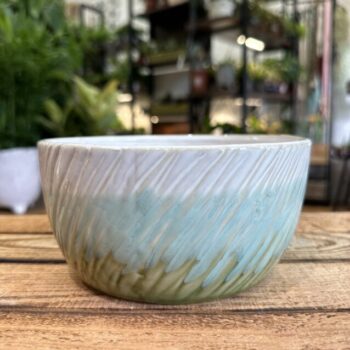 Glazed Rustic Bowl Planter White Soft Green 15cm Bowls