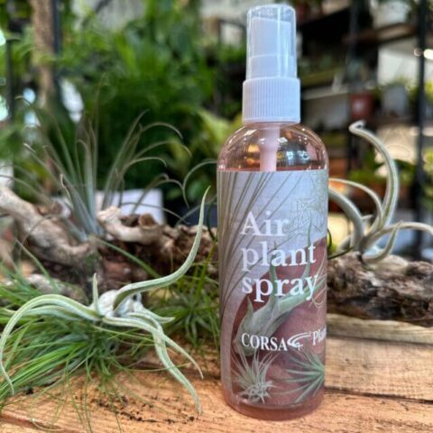 Organic Air Plant Growth Stimulator Spray, 150ml
