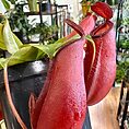 img_7756
