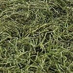 1Hotel Preserved Spanish Moss Samples