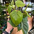 img_0531