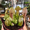 img_8051
