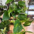 img_8065