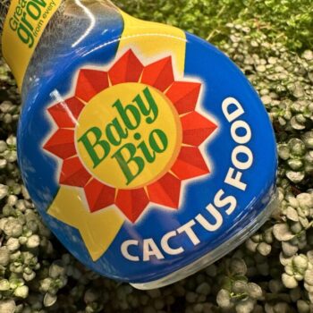 Cactus and Succulent Food Baby Bio NPK 5-5-5 Plant Care