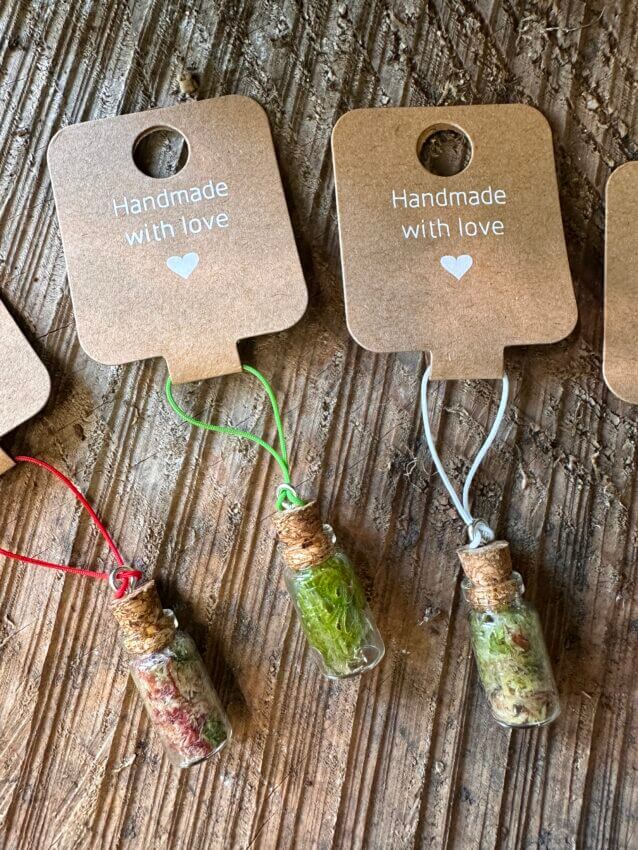 Mini Terrarium Keyring