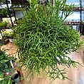 img_8281