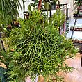 img_8284