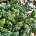 img_8730