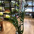 img_8972