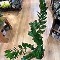 img_8975