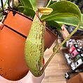 img_9133