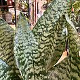 img_9141