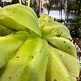 img_9180