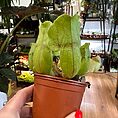img_9453-1