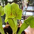 img_9455